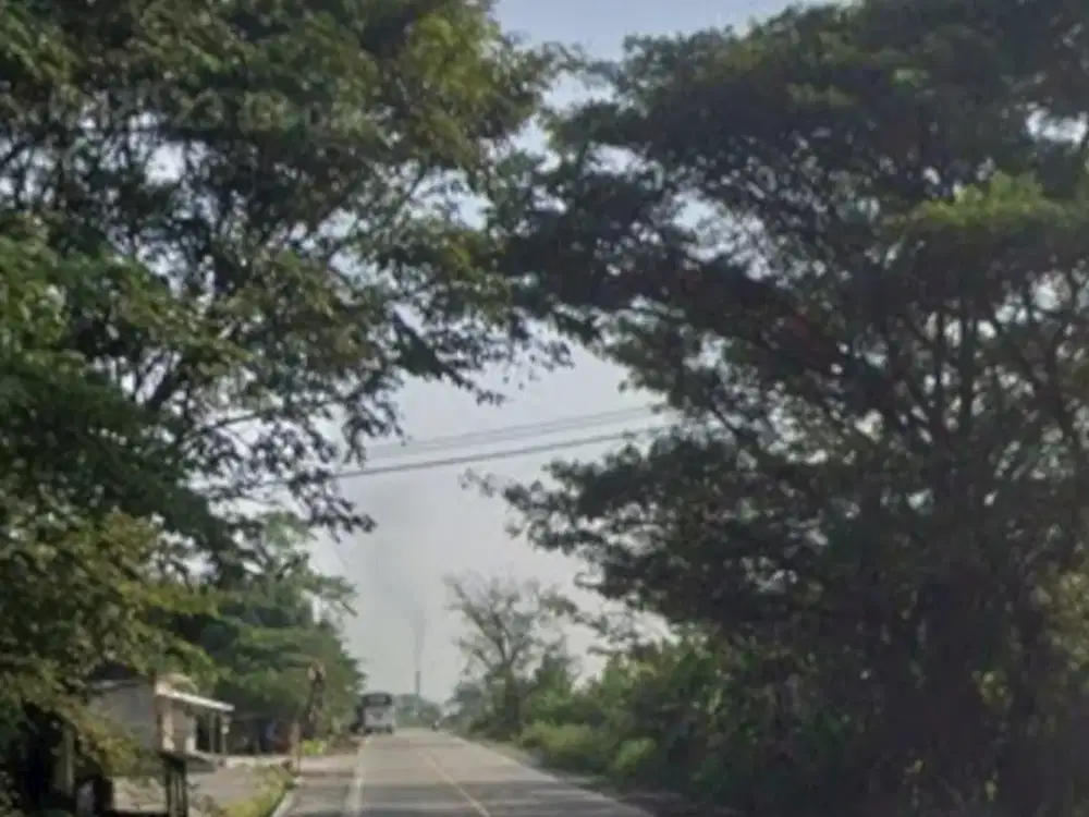 Jual Cepat Lahan Kosong di Jl Raya Cikande Rangkasbitung,Serang