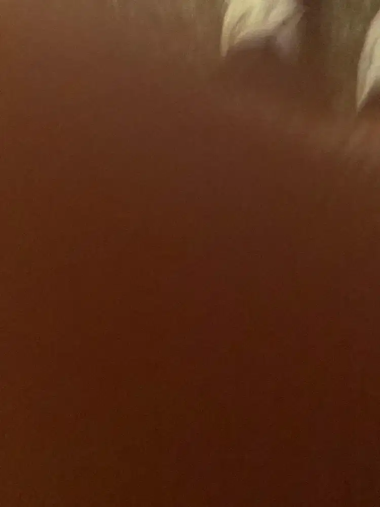 Lowongan Kerja Mengasuh Anak