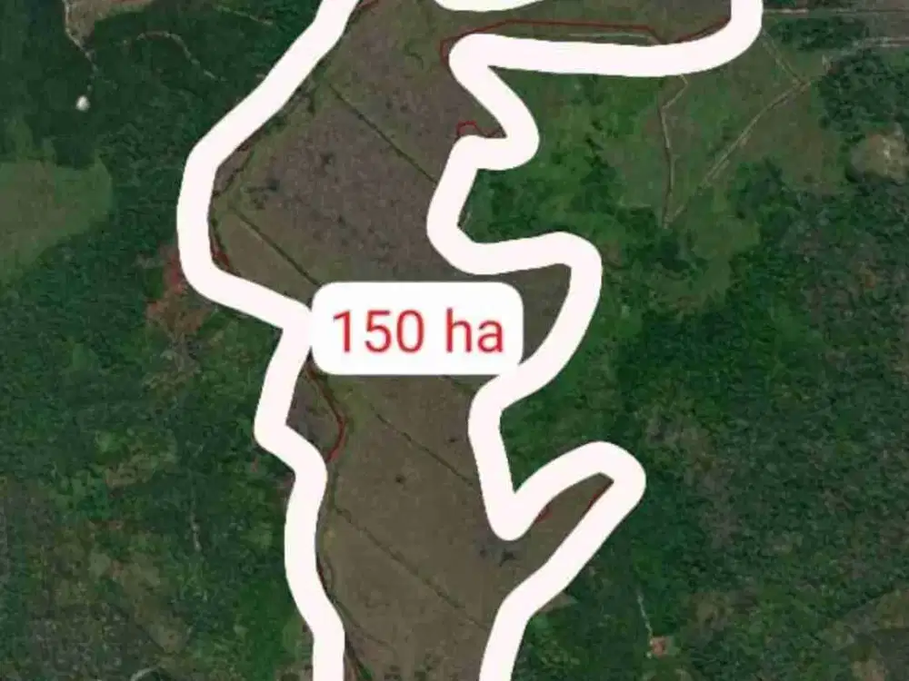 Lahan Kosong 150 hektar di Simpang Tuan