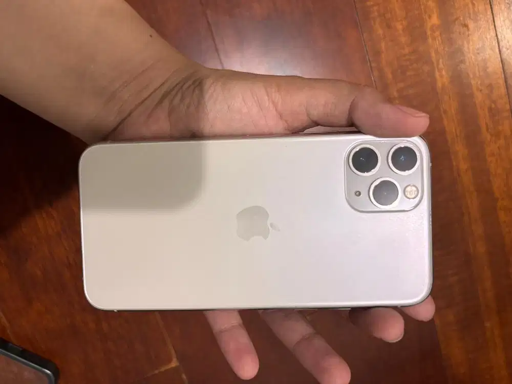 iPhone 11 Pro 256 GB Inter