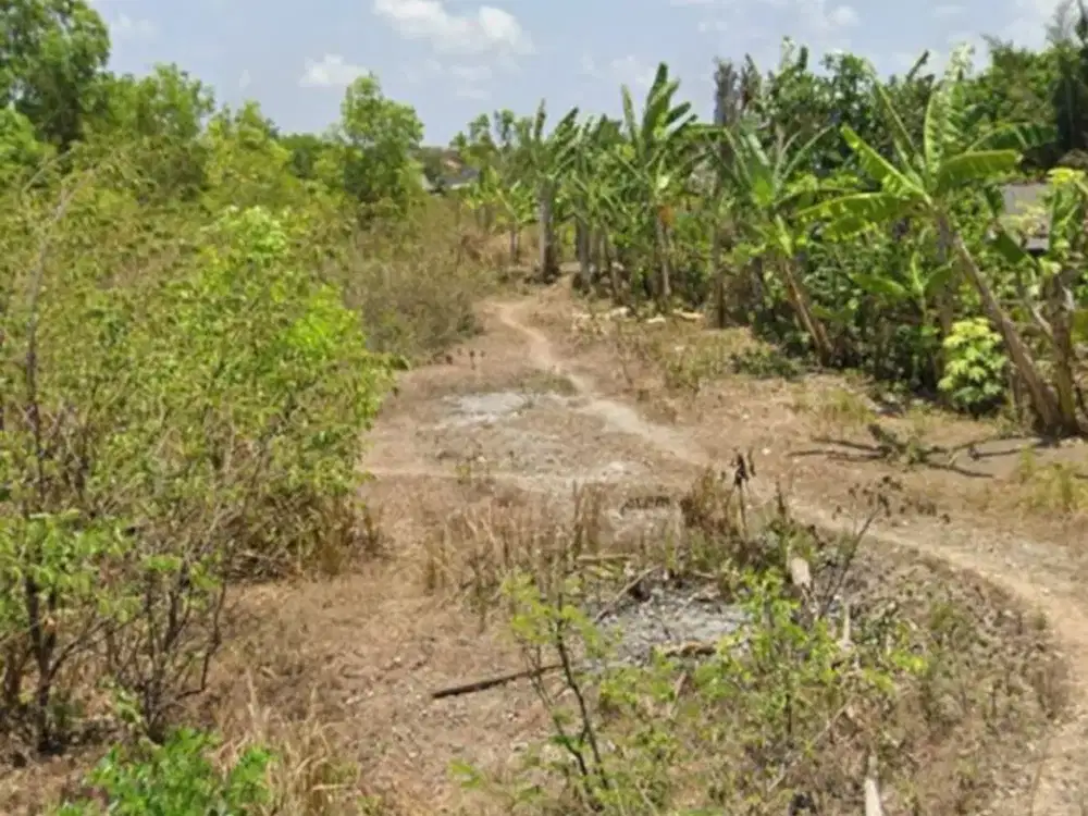 Lahan Bagus di Kutuh, Bali