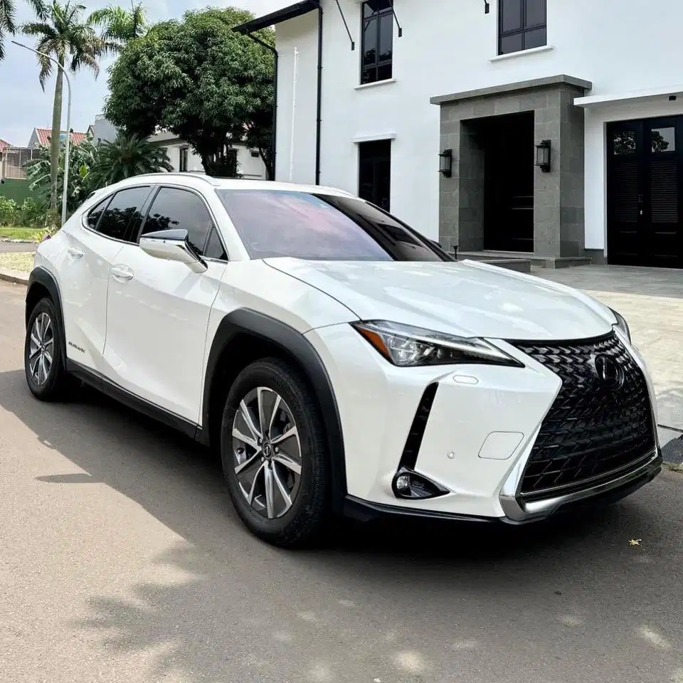 (CASH) Lexus UX300e 2021