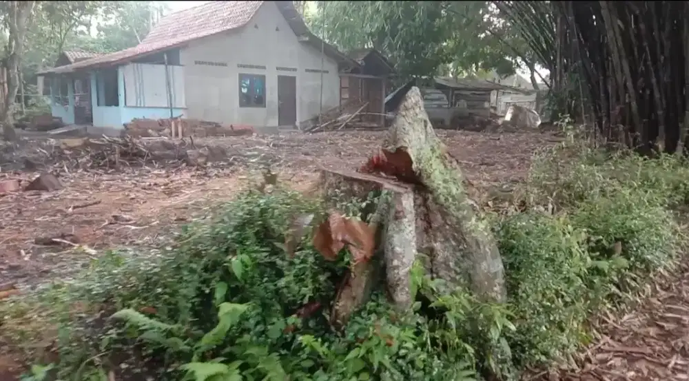 Dijual tanah di seyegan