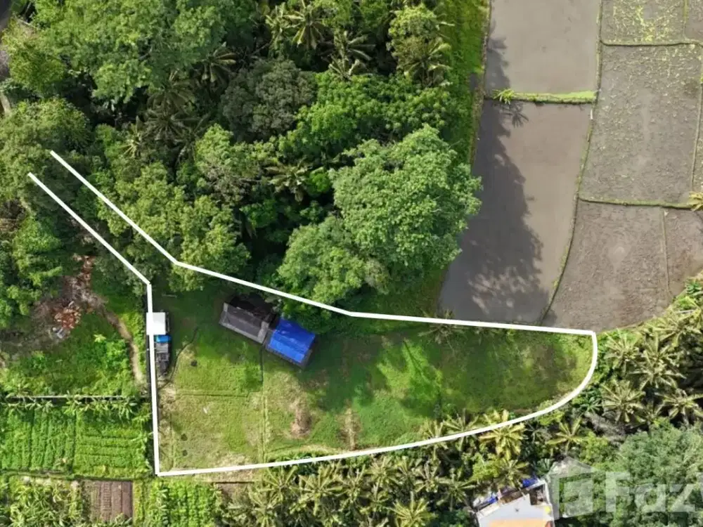 Land for sale in Ubud, Bali