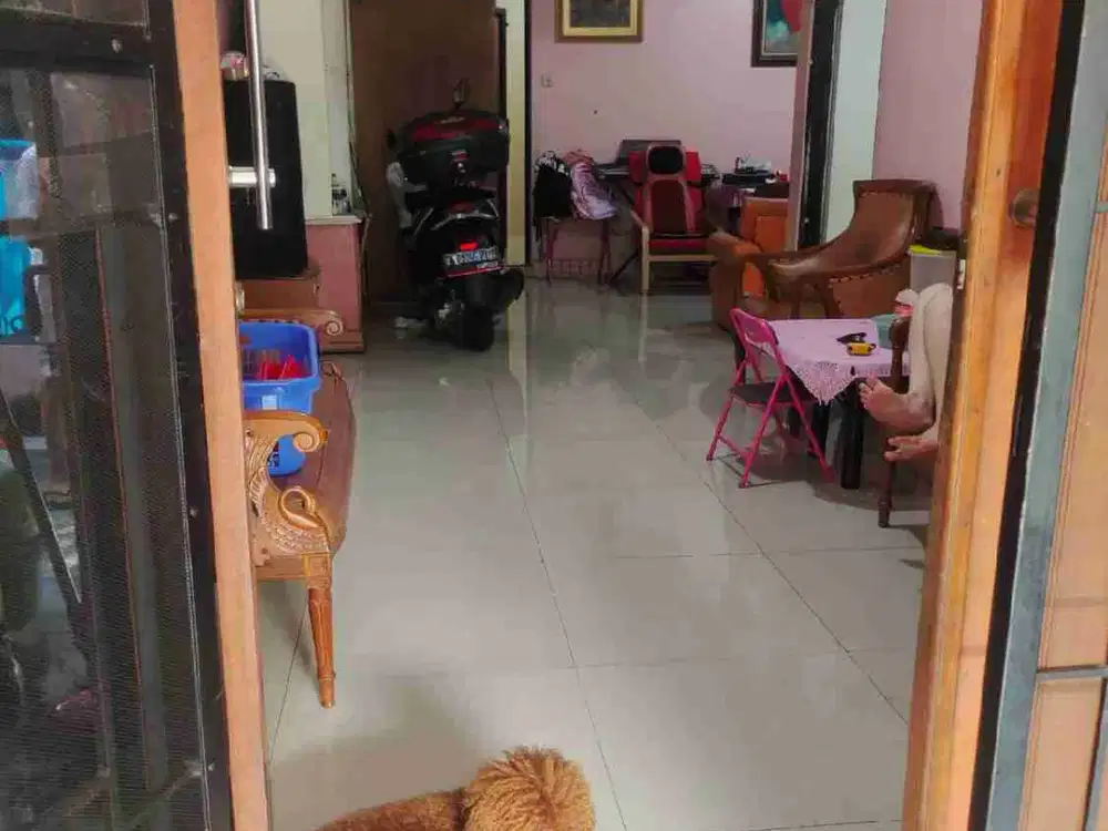 Dijual cepat Rumah di Taman Royal 1