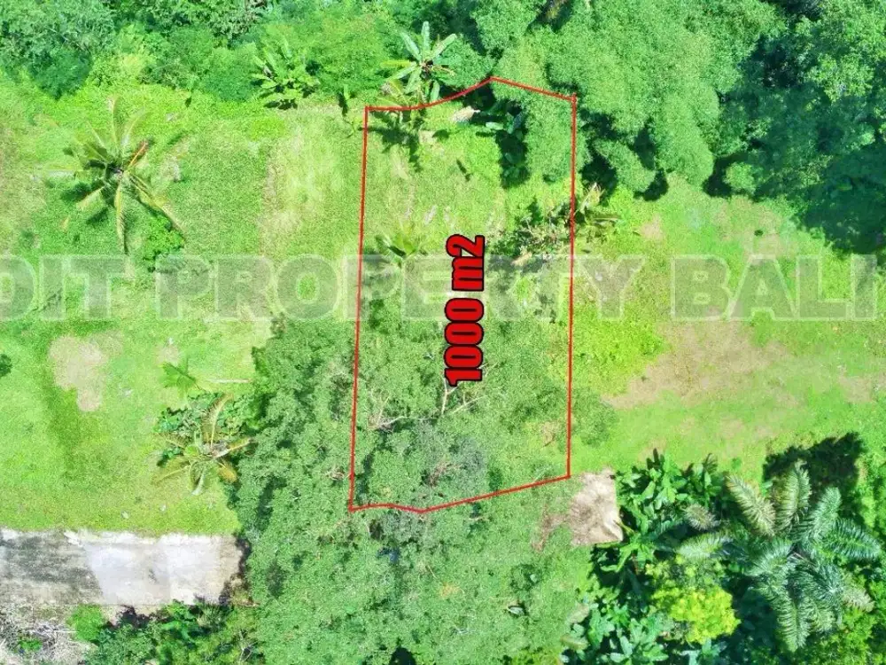 Tanah View Jungle & Sungai Payangan Ubud Gianyar Bali