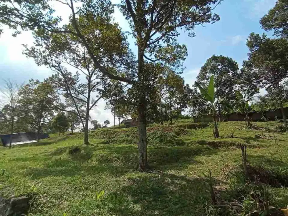 PROMO TANAH KAVLING MURAH DI PUNCAK 2 BOGOR VIEW PEGUNUNGAN