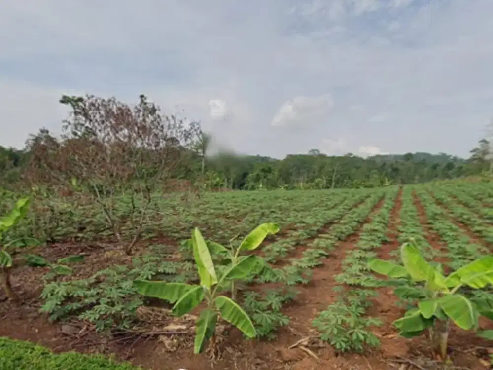 Dijual Lahan Zona Industri Lokasi Batang Luas 1,193 Ha