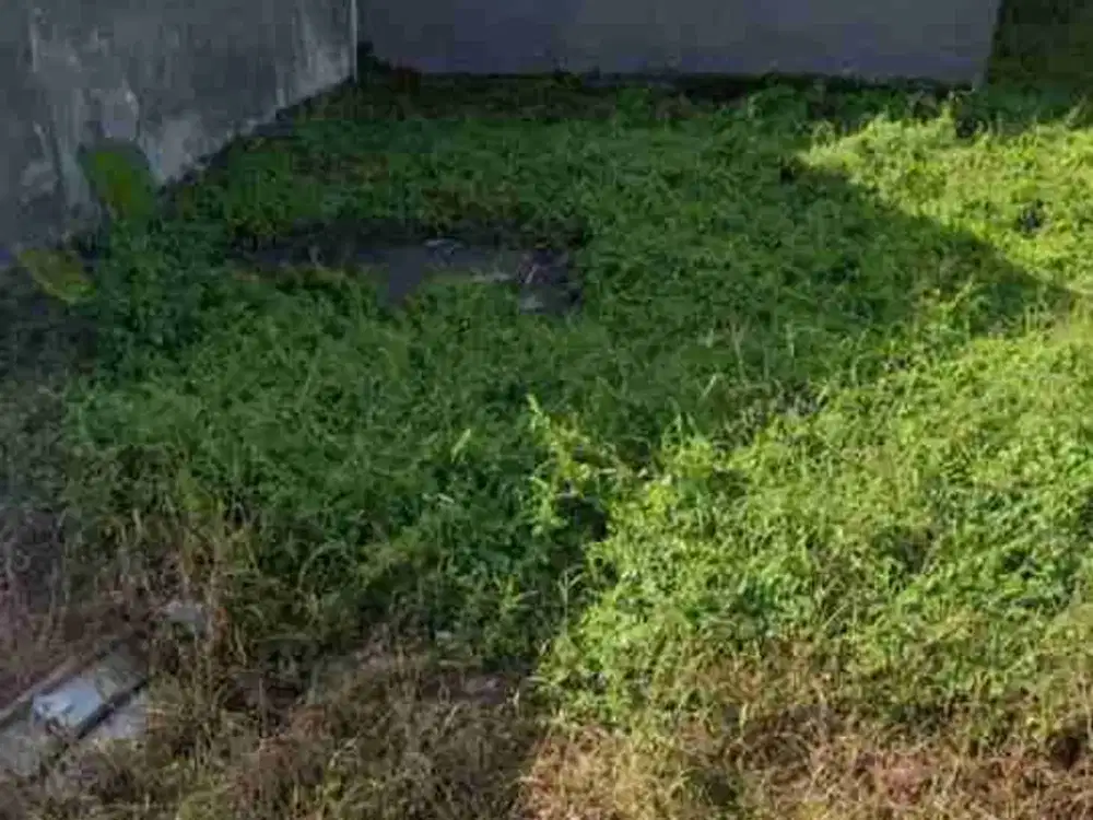 Tanah Siap Bangun Menganti Gresik