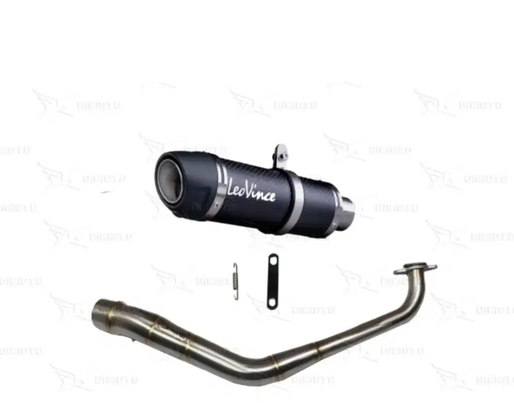 Knalpot leo vince