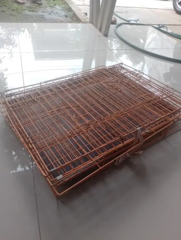 Kandang kucing untuk pelharaan kesasangan anda