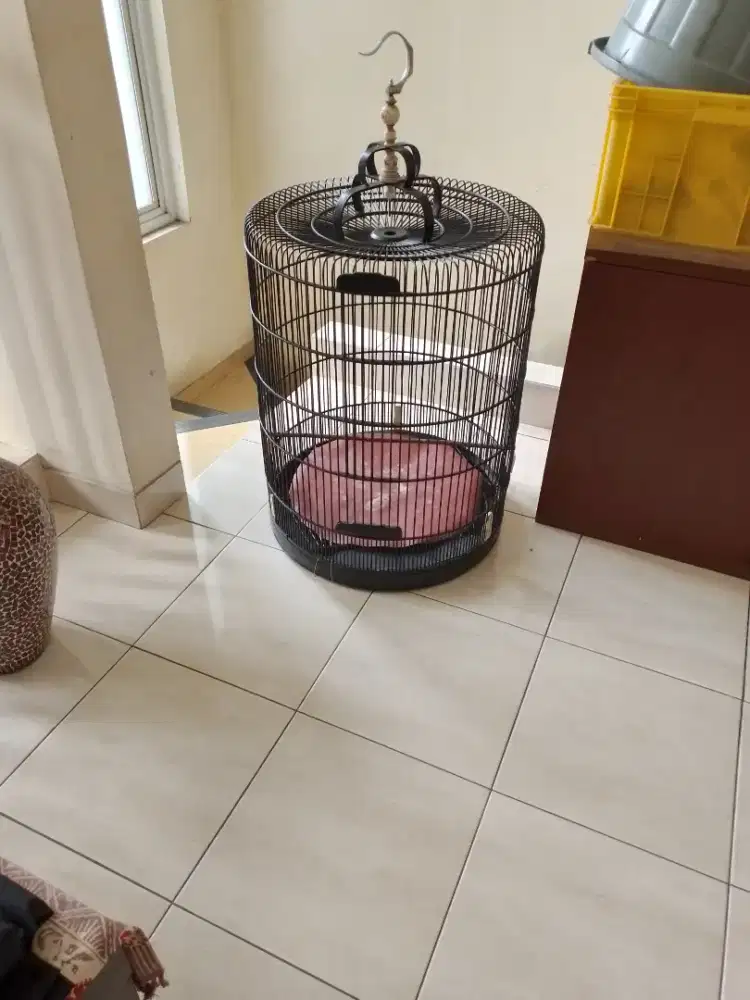 Kandang murai no 1 masi kekar