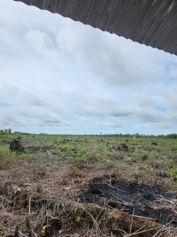 DIJUAL CEPAT TANAH LUAS 11 HA LOKASI STRATEGIS 5 MENIT KE BANDARA