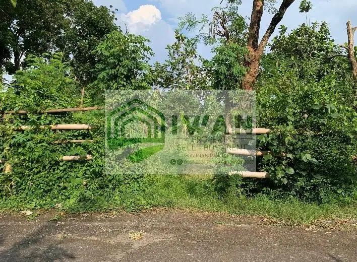 Tanah Kering/Pekarangan Muka 50m Dengan View Sawah