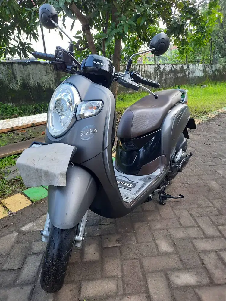 Scoopy 2019 Original