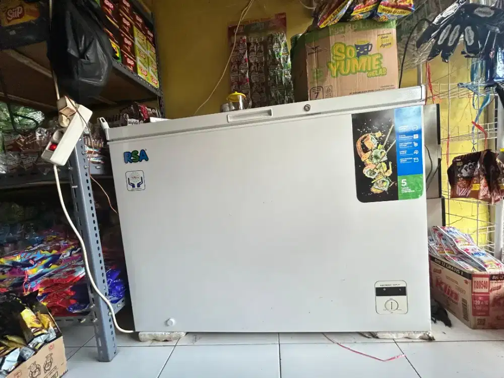 Freezer RSA 310L