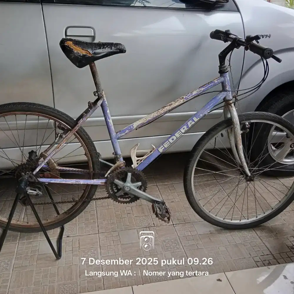 Sepeda Federal Lady 26 Original Serial Number
