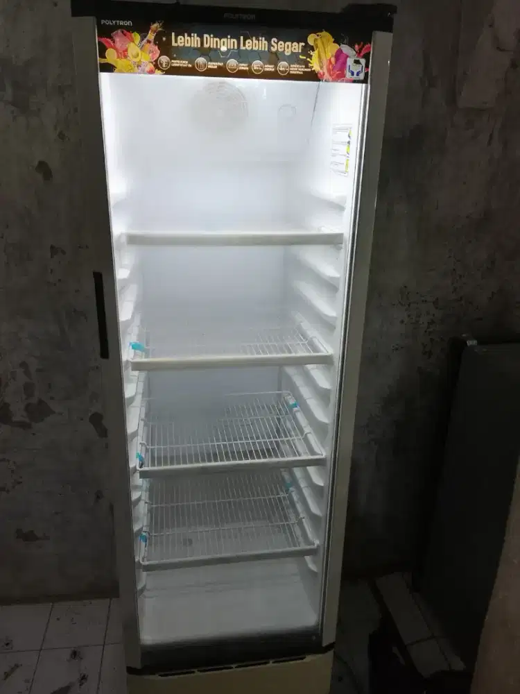 Shocess Polytron normal