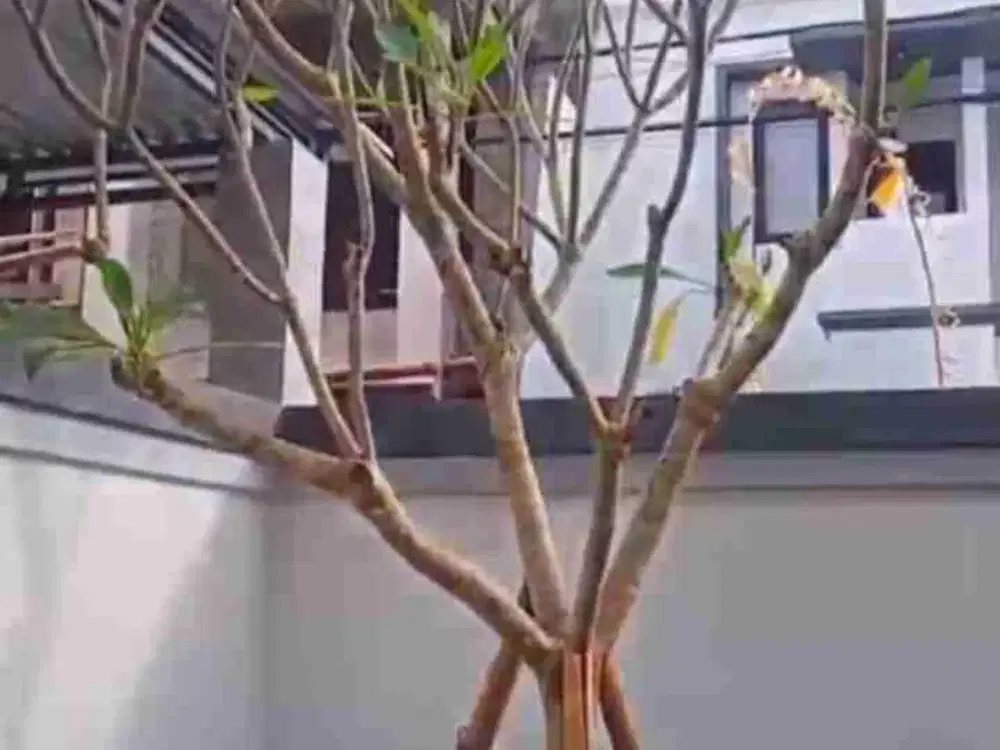 VILLA BARU- LOKASI JALAN GEMITIR DENPASAR TIMUR