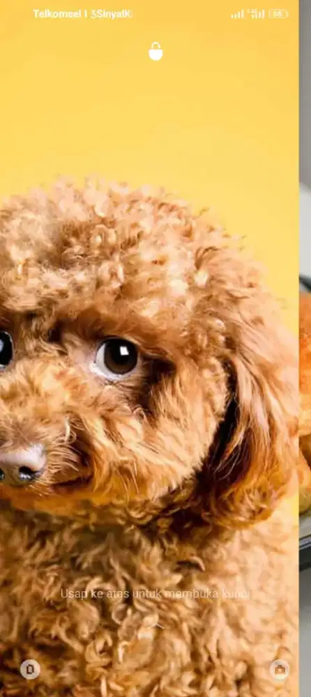 Baju bekas yg TDK terpakai