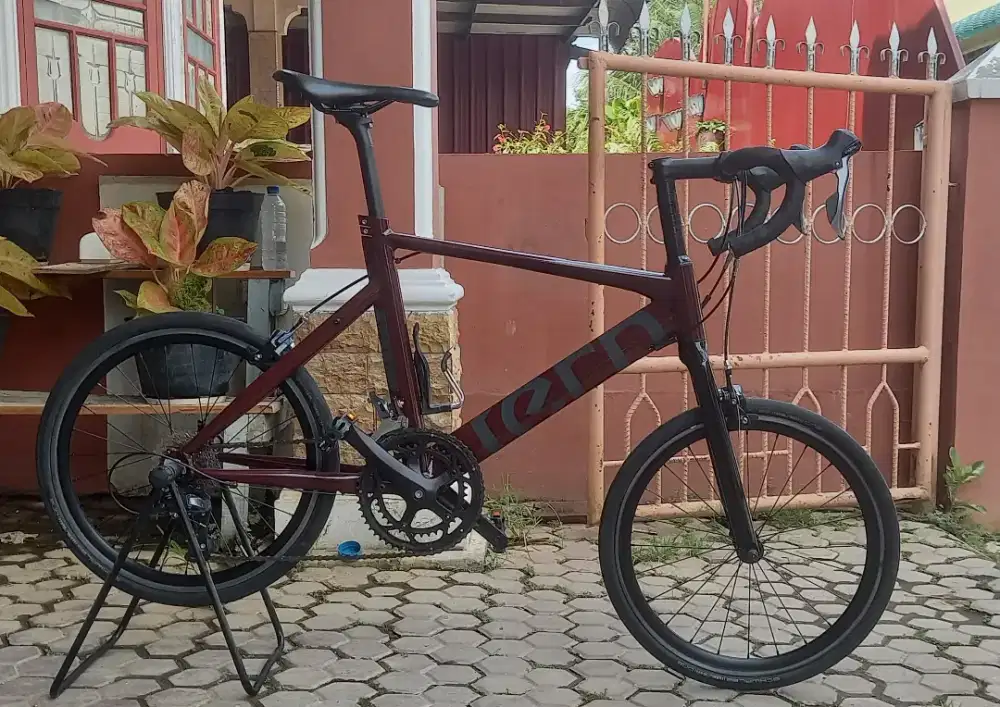 Tern surge minivelo