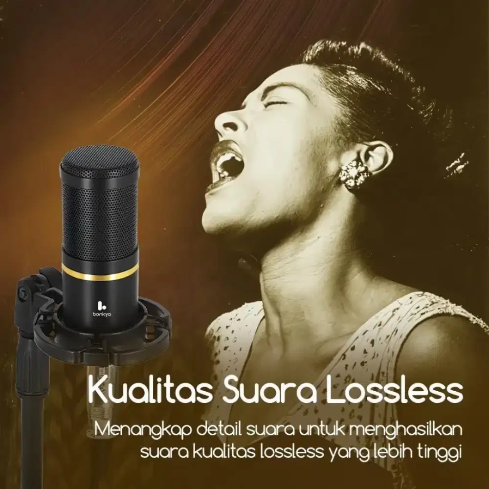 Microphone Condenser Profesional M88