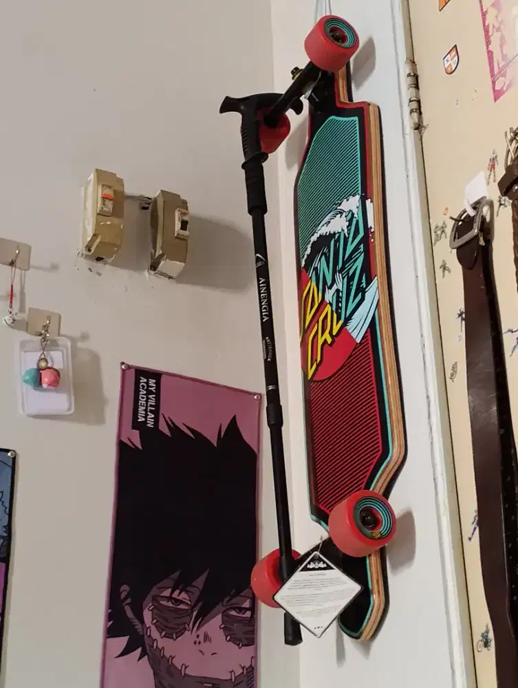 Santa cruz longboard cruiser original baru