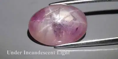 Natural Star Ruby Belang 16 Carat
