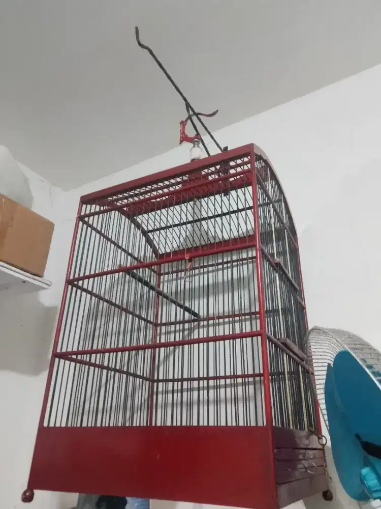 Kandang burung kotak no 2 mines selorokan bolong dikit