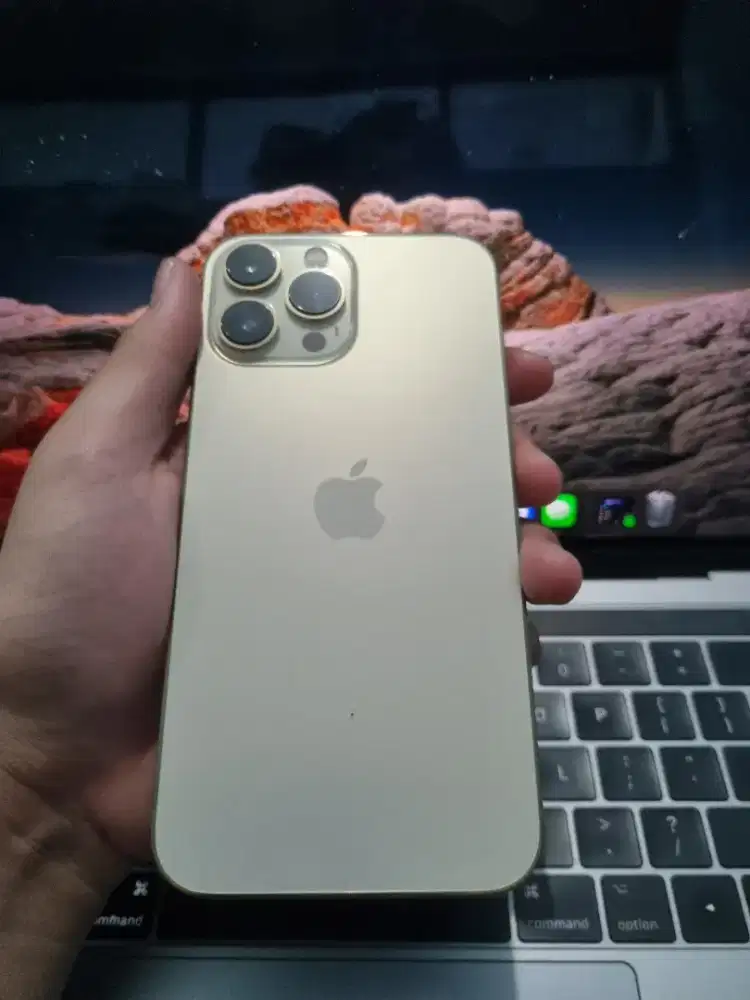 iPhone 13 Pro Max 128GB Resmi iBox Full Original semuaa !!