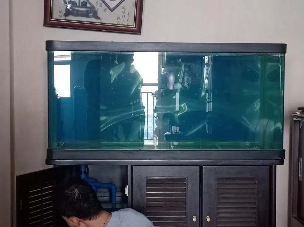 Aquarium / Akuarium Fish Tank  (Curved Glass) Kaca Tebal Tempred Glass