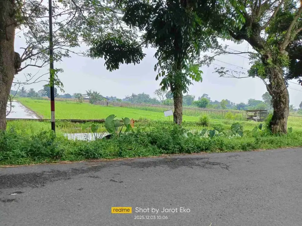 DIJUAL TANAH AREA PEMDA SLEMAN DEKAT KAMPUNG FLORY