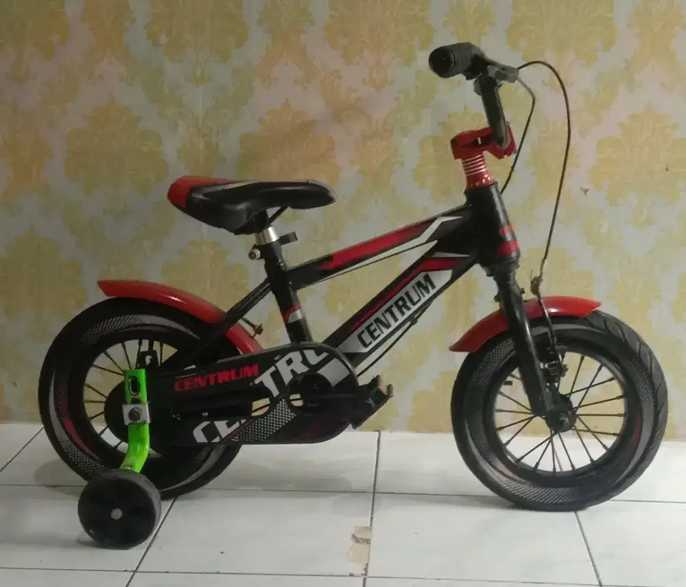 Sepeda anak Ring 12