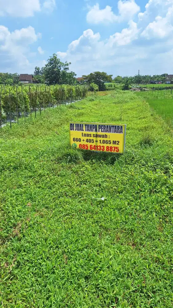 Di Jual Tanah Sawah Letak Strategis di Desa Jipangan, Banyudono