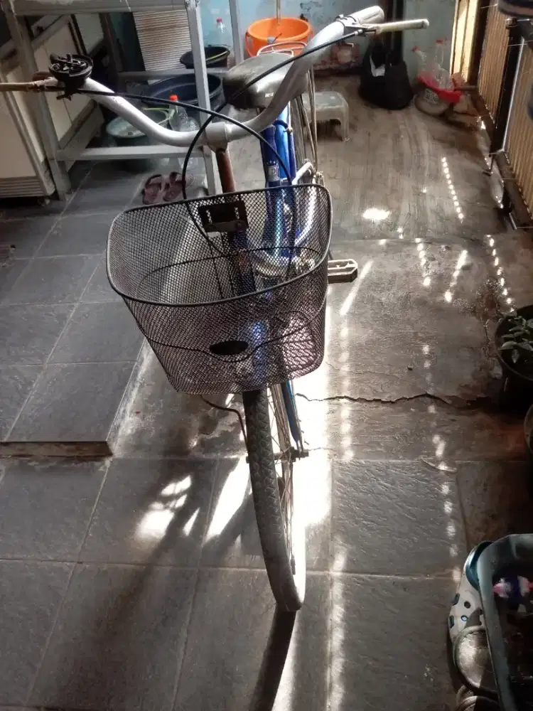 Sepeda dewasa besar evergreen