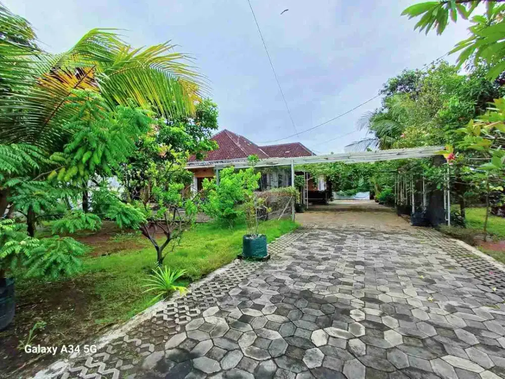 Tanah Luas Tengah Kota Solo dekat Jl. veteran luas 1298m²