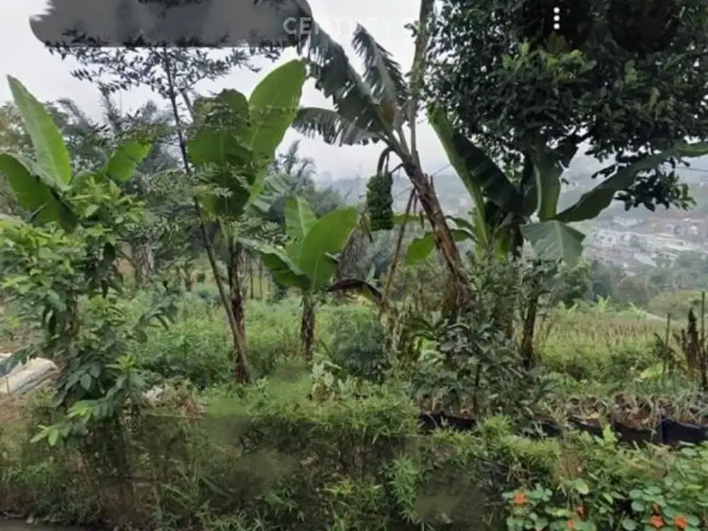 DIJUAL CEPAT KAVLING CIHALARANG BANDUNG BEST PRICE