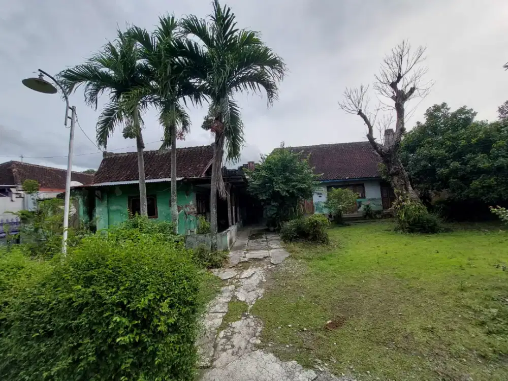 Tanah dekat jalan Provinsi DIJUAL TANPA PERANTARA