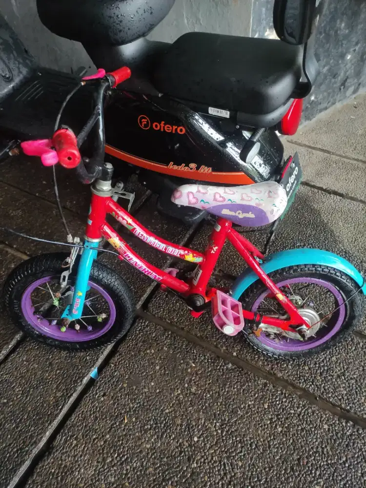 Sepeda Anak Anak uk 12 dan 16