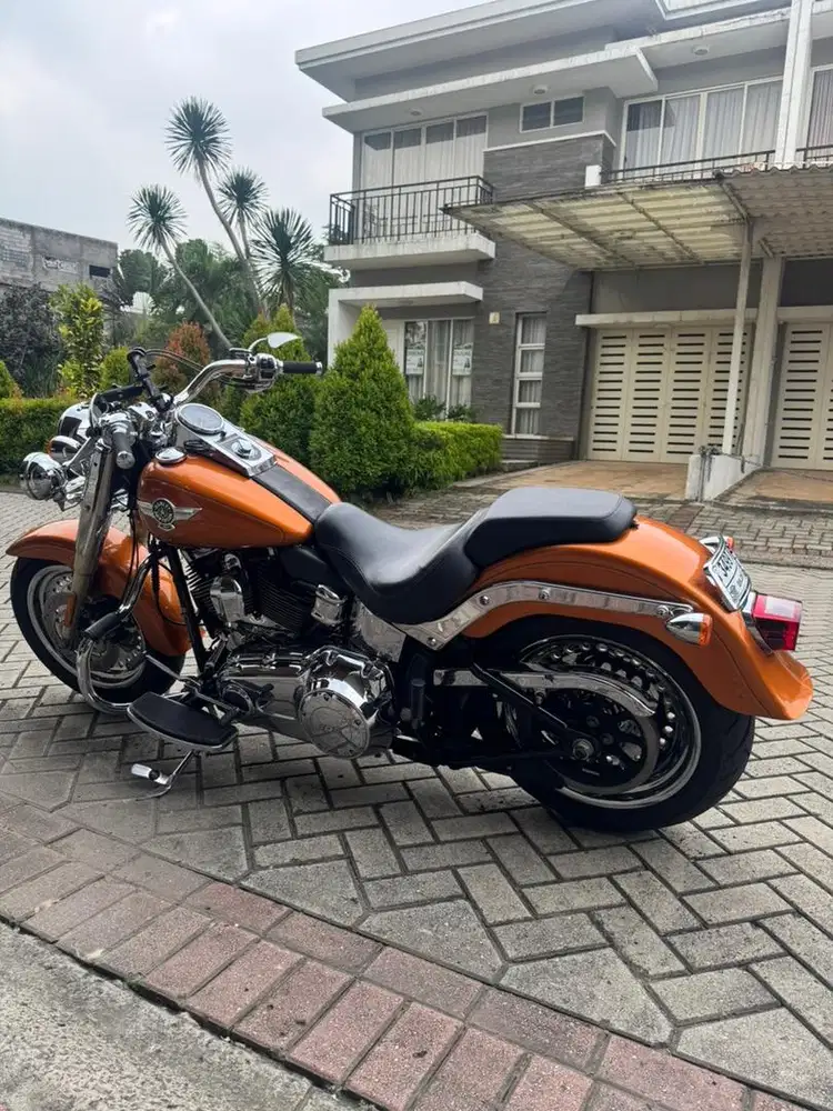 FATBOY - FULL MODIF - SPECIAL COLOUR 2014