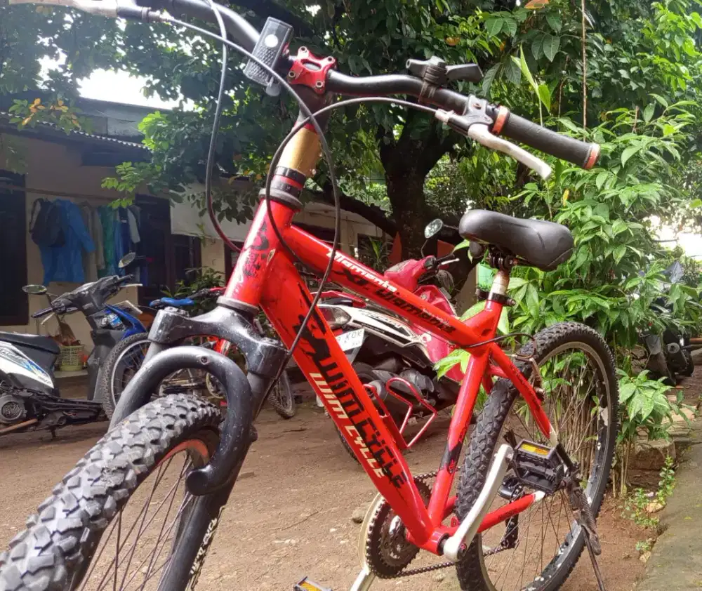 Sepeda gunung wim cycle