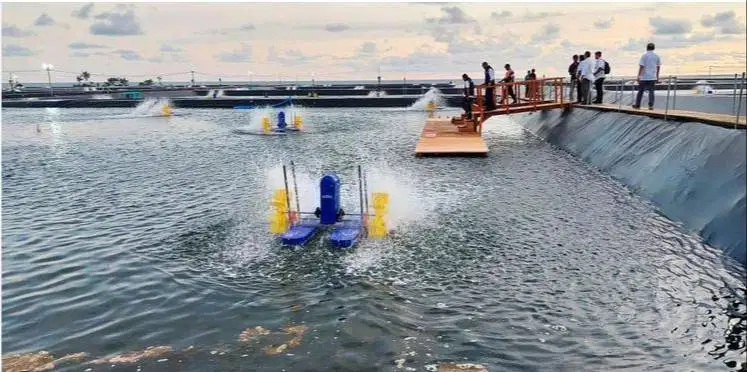 LOWONGAN KERJA TAMBAK UDANG