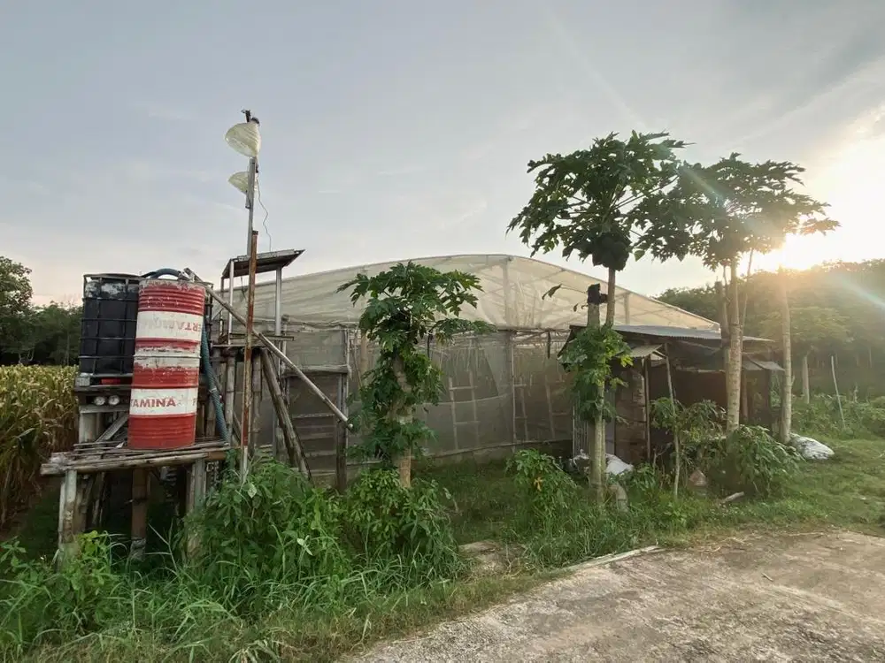 Dijual Tanah Produktif SHM - Kembangarum