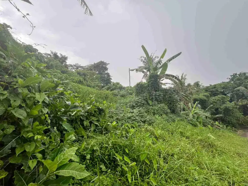 Tanah Strategis View Terasering Sawah di Kaba Kaba Tabanan Bali