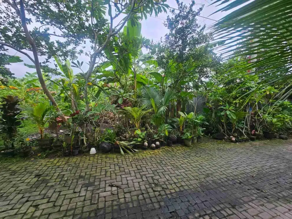 DIJUAL TANAH AREA PEDONAN CANGGU BALI