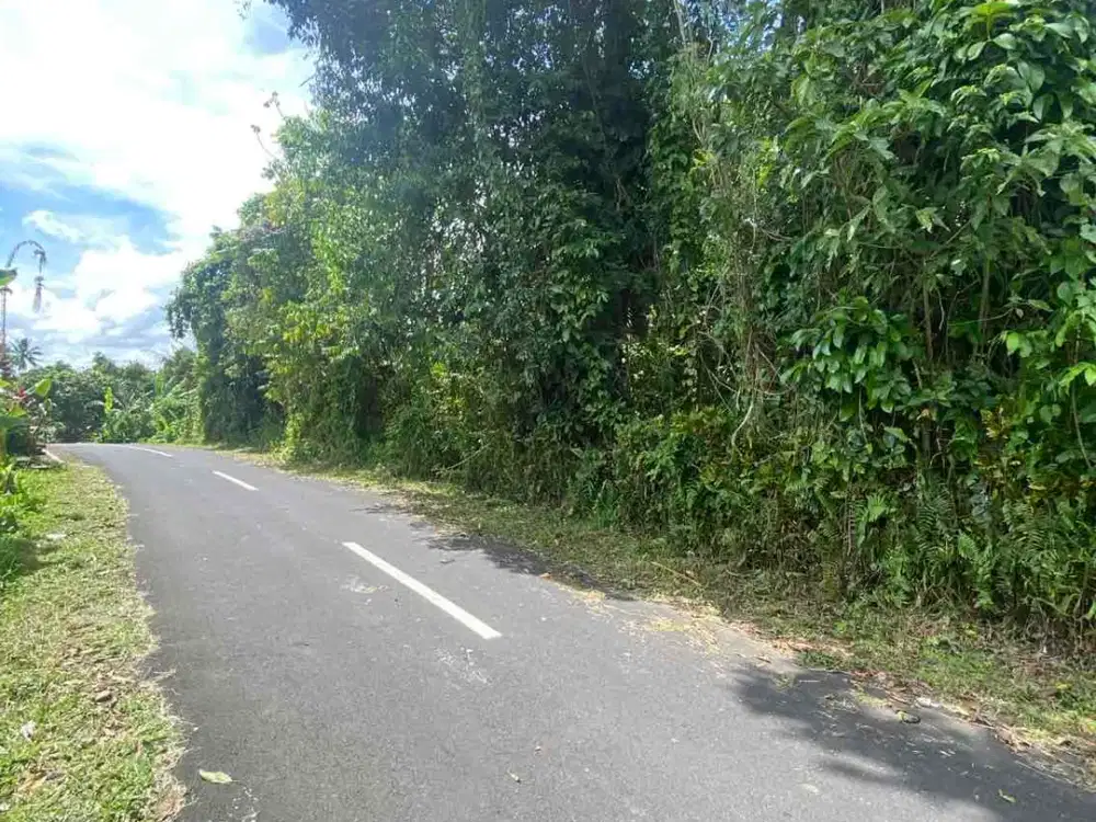 jual tanah penebel tabanan penatahan