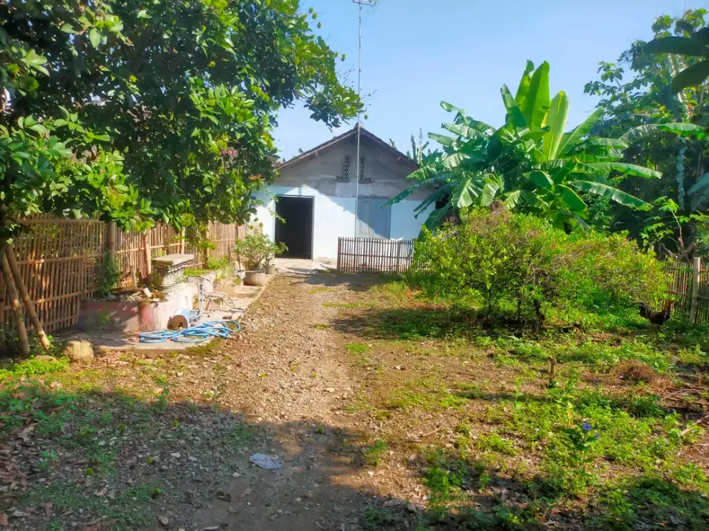 Vibes perkampungan, tapi ini masih di Sragen Kota lho?!