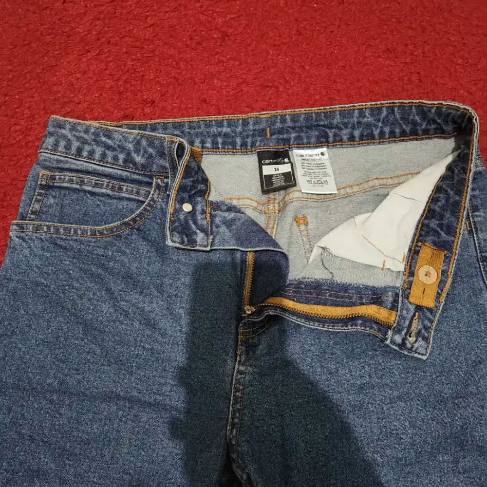 Carhartt jeans new