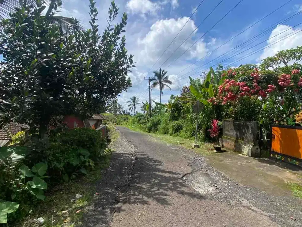 jual tanah penebel Tabanan