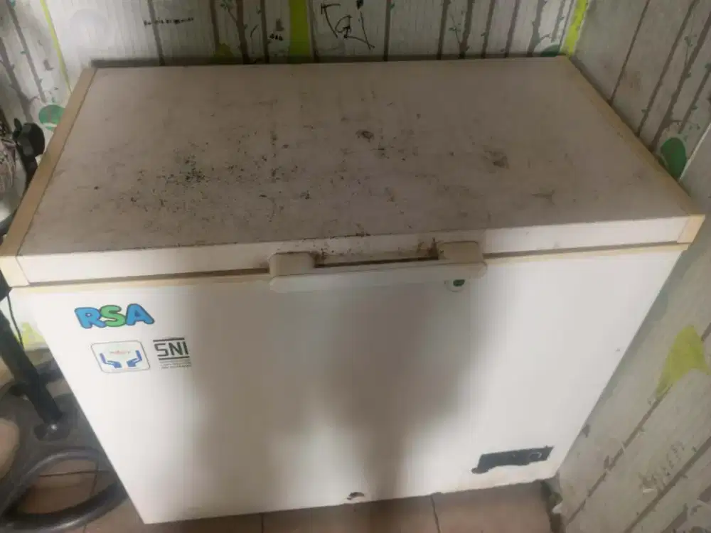 Freezer box RSA 220L